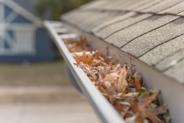 Leaf Barrier Installation in Kannapolis